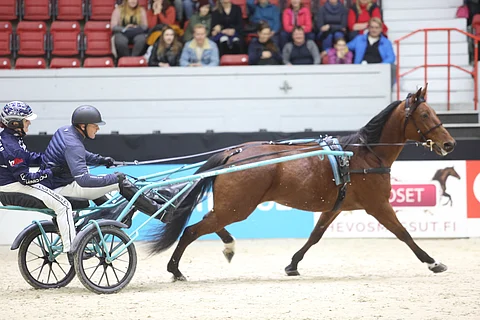 Vauhdikasta menoa Väreeltä ja Mathylta In Focuksen kärryillä.