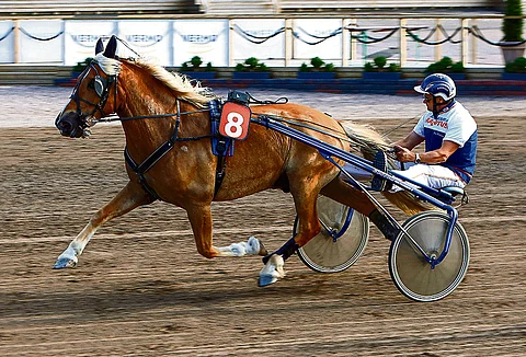 Jussi Miettisen Merran Jyske on hyvä pelikohde.