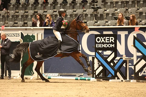 Noora Forstén ja hurja tamma Con Caya.