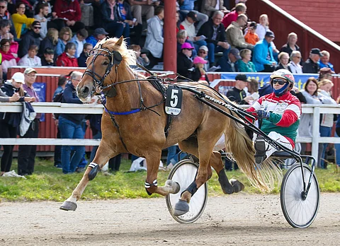 Juha-Pekka Ahonen ei toistaiseksi pääse palaamaan hevosen ohjiin. Arkistokuvassa hän ohjastaa Jyllätystä.