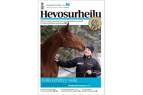 Stonecapes Queila on väkivahva puolifransmanni. Kannen kuva: Anu Leppänen