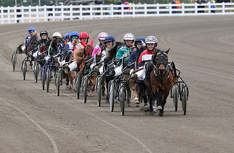 Kokeilujakso esittelyistä luopumiseen kestää tiistaista 19.11. tiistaihin 10.12. eli neljät ravit. Ponilähtöjä esittelyistä luopuminen ei kuitenkaan koske. Kuva: Anu Leppänen.