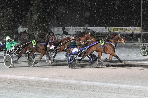 Marschall Matchin tähtäin on asetettu Kasvattajakruunuun. Kuva: Roosa Lindholm