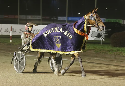 Kouvola-ajon voittanut Zultanio kilpailee illan pankkina.