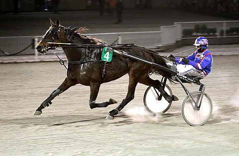 Olli Koivusen ajokki Estelle Nordique oli kirivaiheessa pitelemätön.