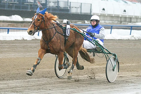 Ville Mikkasen ohjastama Lulun Lupaus kelpaa varmaksi.
