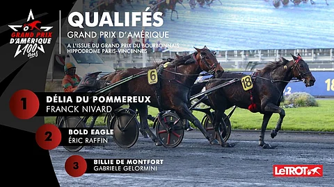 Tämä kolmikko nähdään Prix d'Amériquessa. Kuva: LeTrot