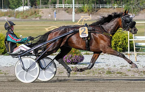 Mersedes Match voitti viime kesänä tammakriteriumin karsinnan. Finaalissa tuli laukka ja yhdeksäs sija. Arkistokuva finaalipäivältä.