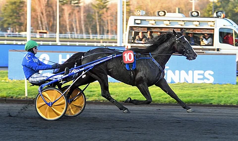 Näin helppoa oli Short In Cashin meno. Kuva: Gérard Forni