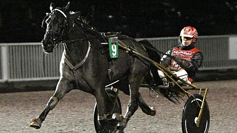 Arto Karvisen valmentama Ronaldo Malibu palasi parrasvaloihin sunnuntaina Seinäjoella. Kuva sen joulukuun 2019 Vermon voitosta.