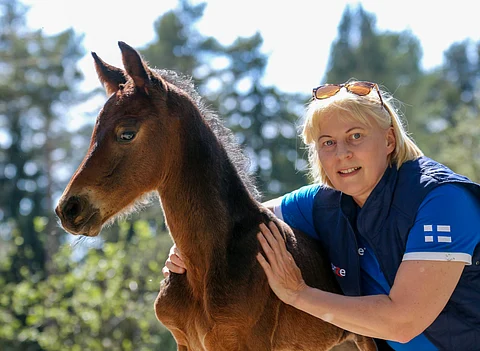 Jutta Koivula on Ratsastajainliiton uusi urheilujohtaja