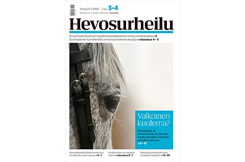 Yksi hevonen kymmenestä on kimo, ja vain kimo sairastuu kimosyöpään. Kannen kuva: Leena Alérini.