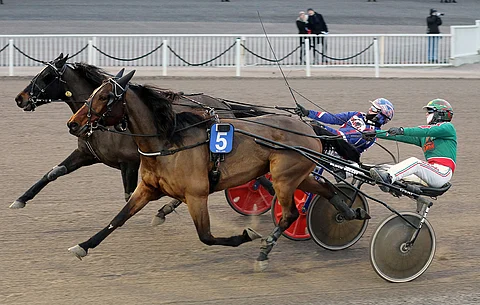 Prada Nights on aloittanut Harri Koivusen tallista kahdella voitolla. Vermossa kuun alussa se kiri 1.11-vauhtia ja tavoitti johtaneen Daisy Nashin juuri ennen linjaa.