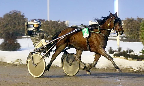 Hollolalainen Olli-Pekka Holopainen voitti vuoden 2019 Salamakypärät-kilpailusarjan.