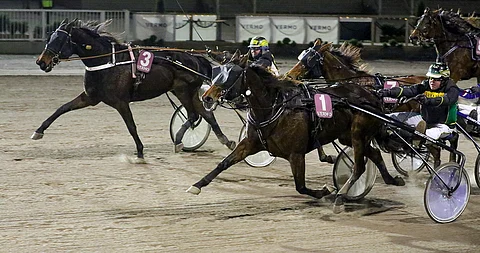Ilkka Korven ajama Firemaker voitti vuoden alussa Vermossa niukasti ennen ulkoa kirinyttä Five Finger Crawlia.