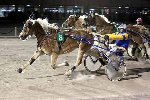 Terho Rautiaisen valmentama ja ohjastama Elias Juonetar ei erehtynyt keulaan päästyään.
