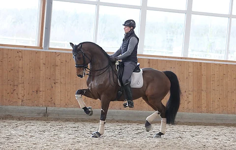 Henri Ruoste ja Kontestro.