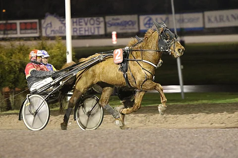 Vinksan pitkä tauko päättyy perjantaina.