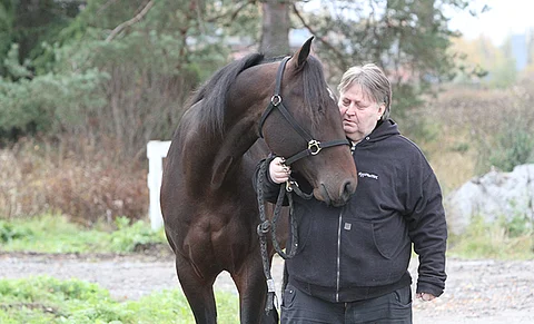 Everest De Ginai on yksi niistä kolmesta hevosesta, jotka siirtyivät viime viikolla Uumajaan Mika Haapakankaan talliin.
