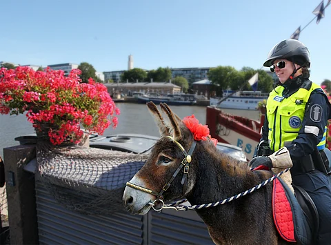 Reinikainen ja ratsupoliisi Kuningas ovat valmiina palvelemaan tamperelaisia ja siellä vierailevia. Kuva Anu Leppänen.