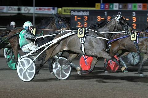 Amazing Warriorin hyvät esitykset ovat piirtyneet uuden omistajan mieleen. Kuva: Roosa Lindholm