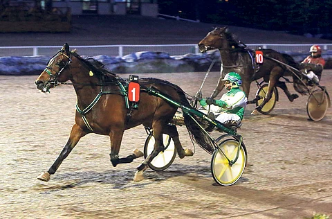 Viimeksi pussiin jäänyt Knocking Match voi voittaa tänään.