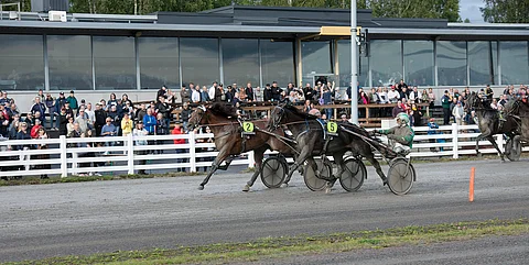 Raskolnikov Frido voitti tapahtuman jälkeen ajetuissa raveissa lämminveristen Oulu Express -finaalin ennen tallikaveri Sahara Peyotea.
