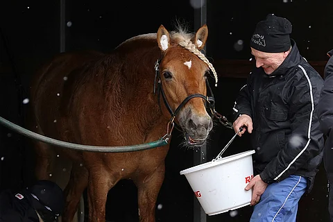 Voiton jälkeen on hymy herkässä, mutta Vokkenilla ja Jukka Huuskolalla on hauskaa muutenkin.