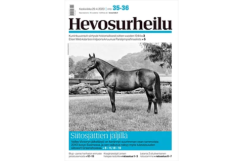 Hevosurheilun jalostusteemassa ollaan siitosjättien jäljillä. Kannen kuva: Ilkka Salokangas.