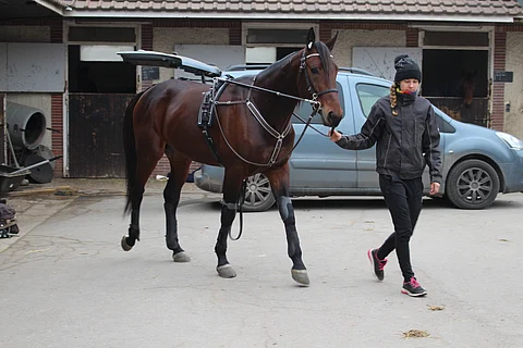Ellinor Wennebring ja Propulsion Grosboisissa tammikuussa 2017. Kuva: Hanna Laakso