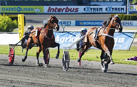 Double Exposure hallitsee Stoeliteniä. Takana Willow Pride seuraa neljänneksi. Kuva: Anu Leppänen