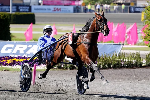 Ecurie D nähdään Jägersrossa. Kuva: Anu Leppänen