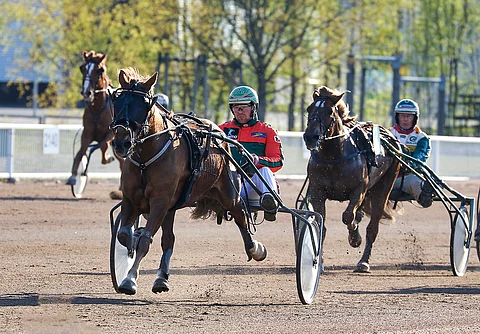 Antti Tupamäen suojatti Hetviina hoiti leiviskänsä lennokkaasti Toto65-pelipankkina.