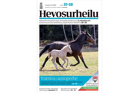 Ravuritamma adoptoi ratsuvarsan. Kannen kuva: Anu Leppänen.