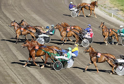 Kilpailuhalukkuutta varmasti löytyy, kun ravit alkavat, mutta varsinkin nuoret hevoset saattavat joutua hakemaan ensin kilpailuluvan koelähdön kautta.