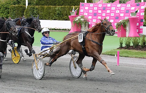 Love No Pain voitti Solvallassa Elitloppet-perjantaina 2020 Jorma Kontion ajamana.