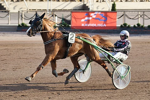 Perfect Rainmaker on tottunut menestymään Vermossa. Tässä tyylinäyte viime vuoden toukokuulta.