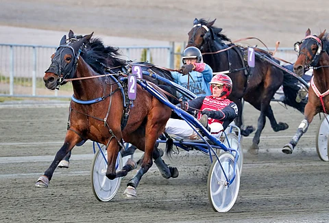 Ranch Quijoten tyylinäytettä kesältä 2020. Santtu Raitala ajoi ruunaa myös tällöin.