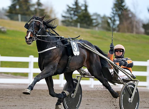 Workout Wonder jää eläkkeelle. Kuva: Anu Leppänen.