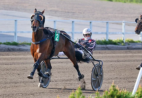 Ypäjä Louvre näytti Metsämäessä parasta osaamistaan. Kuva: Anu Leppänen