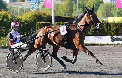 Better Boss voitti keväällä Ruotsissa 75-lähdönkin. Turnee päättyi Solvallan Elitloppet-viikonlopun finaaleihin.