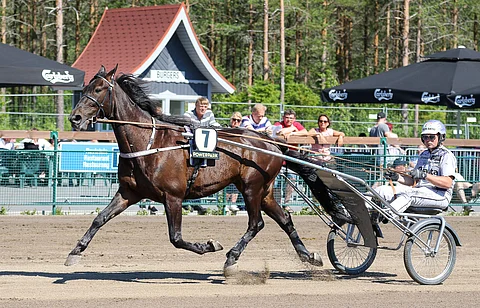 Celebrity Lane kilpaili Matias Salon valmennuksessa 74 kertaa ja tienasi noin 90 000 euroa.