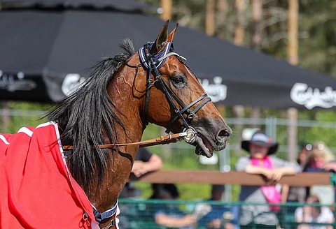Don Williams joutui Ruotsin-reissulta kotiin palattuaan pienelle sairastauolle.