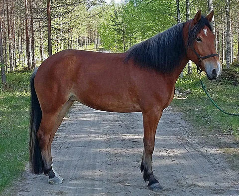 Hali Rols kotimaisemissa neljä vuotta sitten.