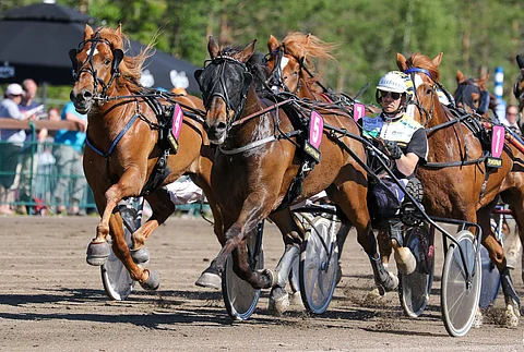 Humiseva pystyy Mikkelissä keulasta hirmutulokseen. Kuva: Anu Leppänen