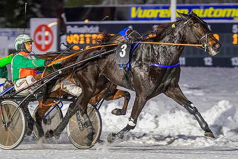 Kyösti Lindgrenin valmentama ja Ville Pohjolan ohjastama Kitzune G.G. pystyy Superlauantaina osallistumaan voittotaistoon.