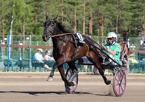 Ari Moilanen on ohjastanut valtaosan Lexus Dreamin starteista.