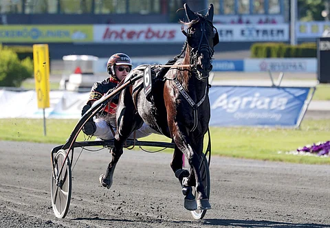 Milliondollarrhyme on kilpaillut urallaan 50 kertaa, voittanut 13 lähtöä ja tienannut reilut 4,8 miljoonaa kruunua. Sen ennätys on 09,2.