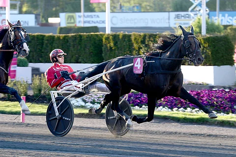 Missle Hill oli Elitloppetin finaalissa kuudes. Kuva. Anu Leppänen