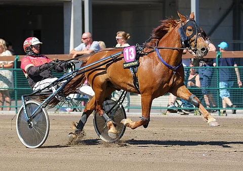 Morison maistuu kovasti lauantain Toto75-pelissä.